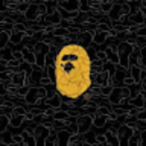 Meet your Posher, Dylan